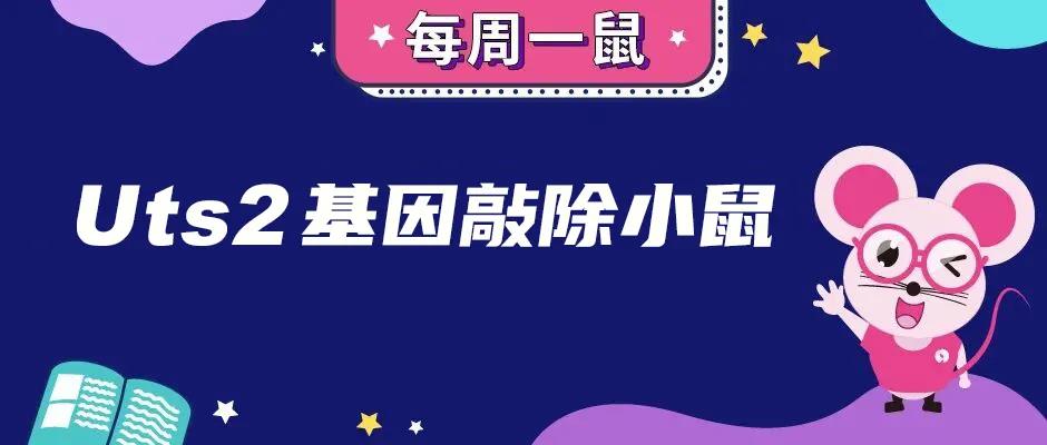 【每周一鼠】“可”能让你干吃不胖的——Uts2