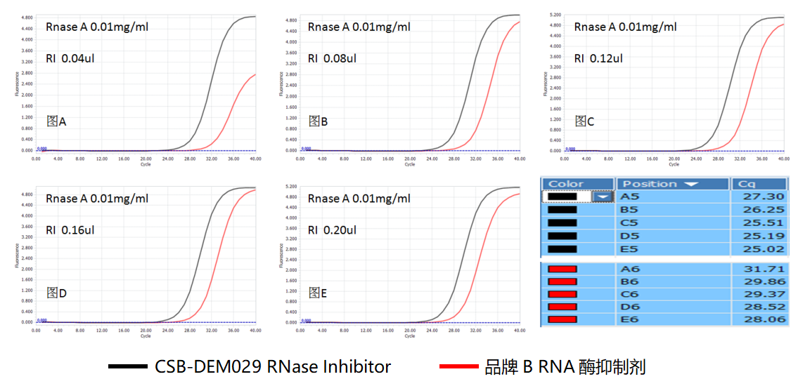 一文读懂RNA酶抑制剂