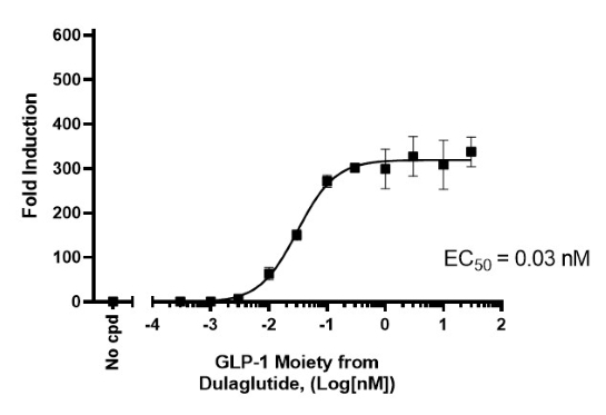 GLP-1R/CRE Luc报告基因 HEK293 细胞系