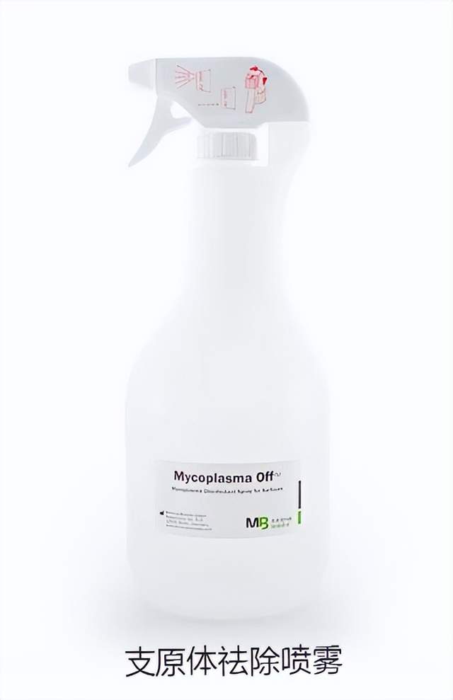 常用培养器皿及清洗消毒