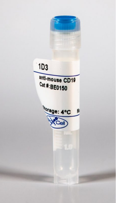BioXcell特色产品推荐之：BioXCell InVivoMAb anti-mouse CD19