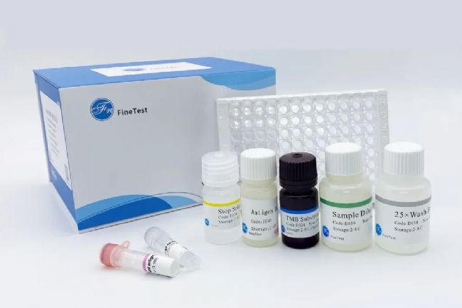 展会邀请｜菲恩生物与您相约2023年广州BTE国际生物大会