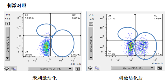 新闻图片12