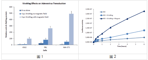 艾美捷 ViroMag转导试剂,提高病毒感染和转导能力 艾美捷 ViroMag转导试剂,提高病毒感染和转导能力