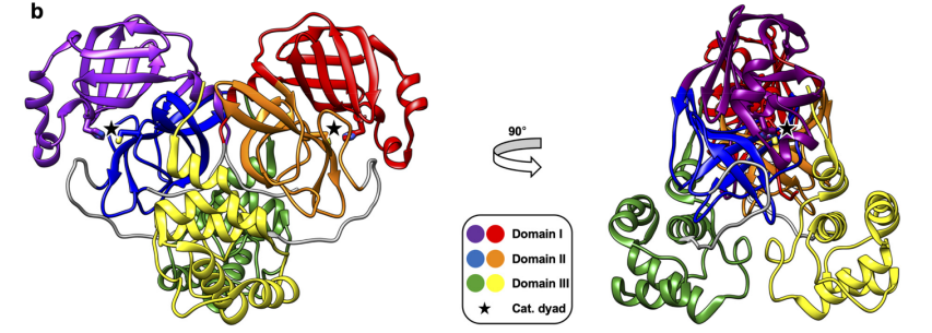 新冠药品纳医保，技术路线知多少？