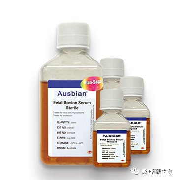 什么是优质的胎牛血清