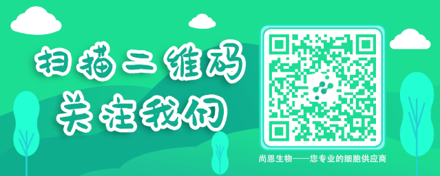 浓情端午，粽享好礼，尽在尚恩生物