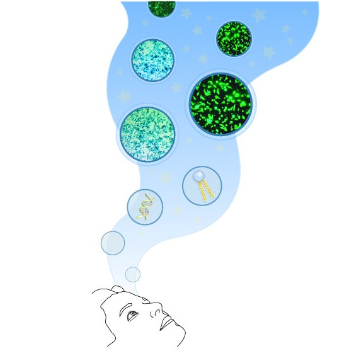 艾美捷DREAMFECT 500 转染试剂，适用于所有核酸应用