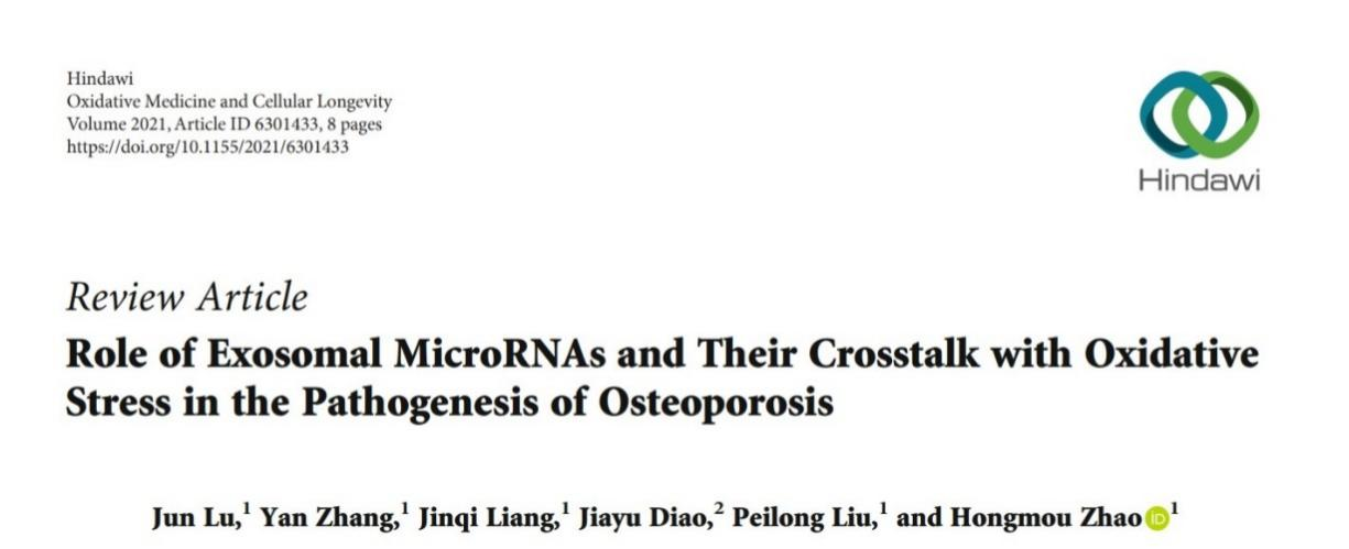 6分+综述! 看外泌体miRNAs和氧化应激如何影响骨质疏松？