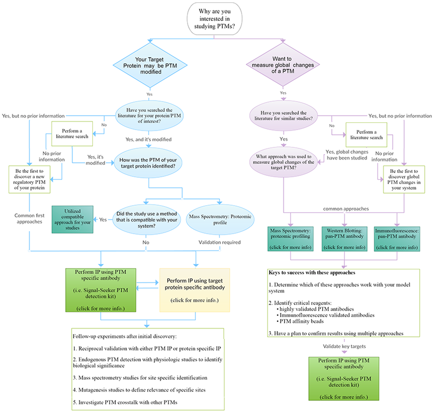 新手怎么研究翻译后修饰（PTMs）？6大实验Tips助力PTMs研究