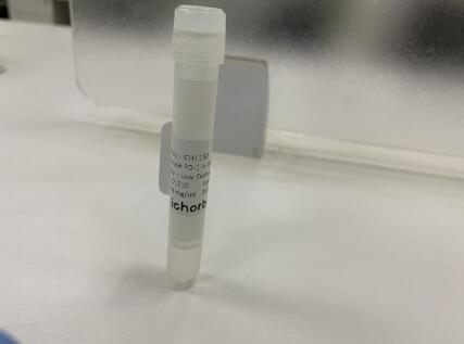 曲妥珠单抗丨艾美捷曲妥珠单抗Trastuzumab相关研究