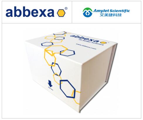 Abbexa丨Abbexaα黑色素细胞刺激素 (aMSH) 蛋白方案