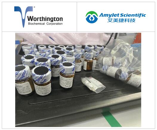 worthington酶丨worthington酶的特异性和分类