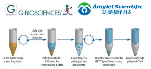 脱氧核糖核酸和核糖核酸丨G-Biosciences GET质粒DNA 96孔