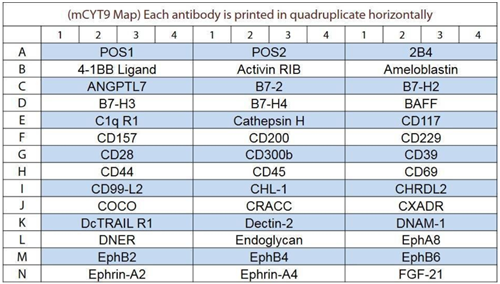 小鼠细胞因子阵列GS9，每张玻片可检测16个样本：精准检测，超值优惠