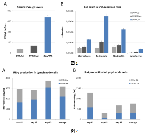 完全弗氏佐剂(CFA):提供抗原持续免疫反应 完全弗氏佐剂(CFA):提供抗原持续免疫反应