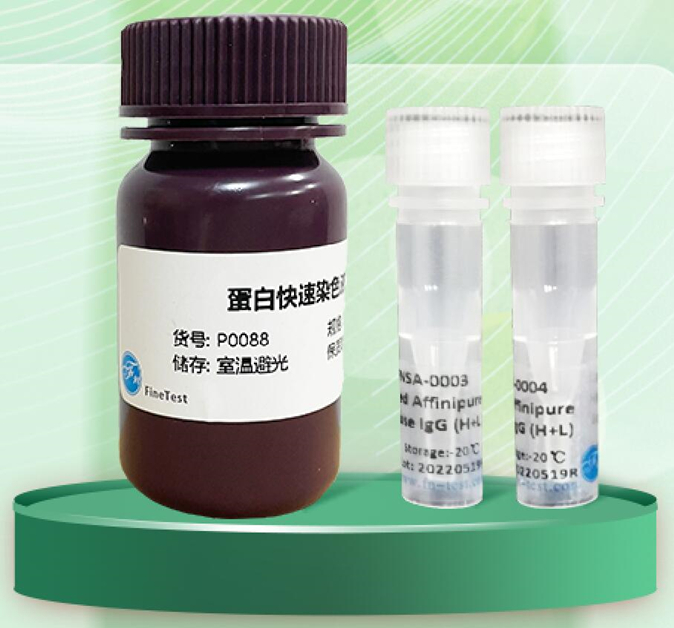 端午有礼●菲恩生物蛋白染色液放肆送！