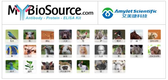 MyBioSource鸭核糖核酸酶 A ELISA 试剂盒解决方案 MyBioSource鸭核糖核酸酶 A ELISA 试剂盒解决方案
