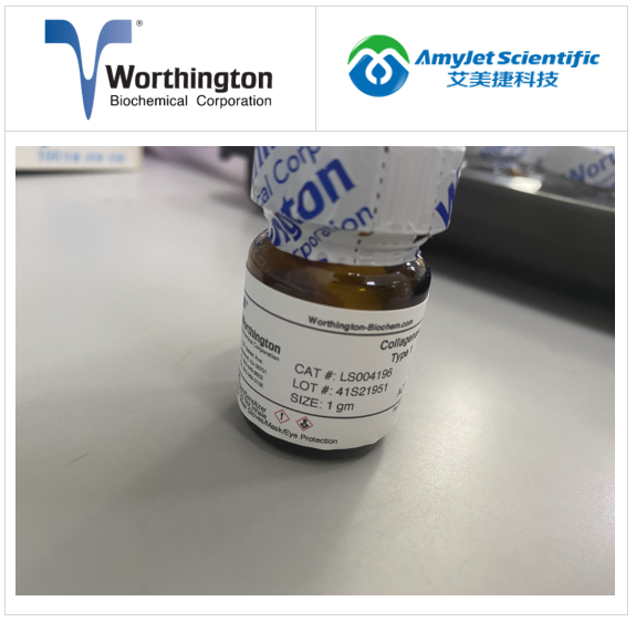 worthington丨worthington 胶原酶取样程序