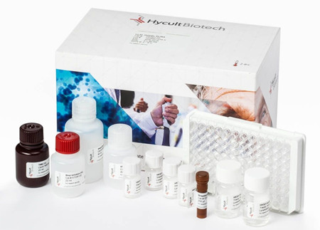 Hycult 抗人C5a/C5a desArg单克隆抗体参数说明   