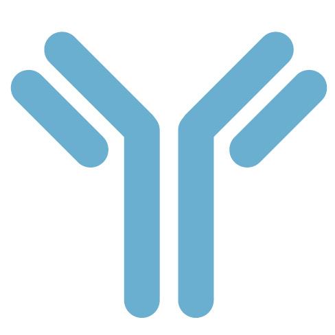 Customer Testimonials