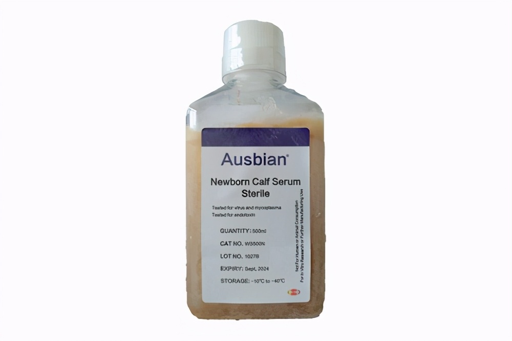 新生牛血清是生物制品不可或缺的原料