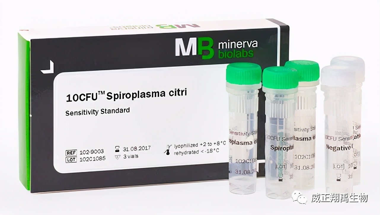 「支原体qPCR检测」的方法学验证