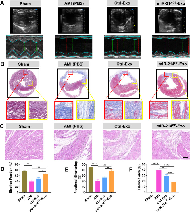 外泌体技术服务