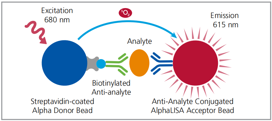 细胞治疗---检测CAR-T细胞活化和杀伤效果