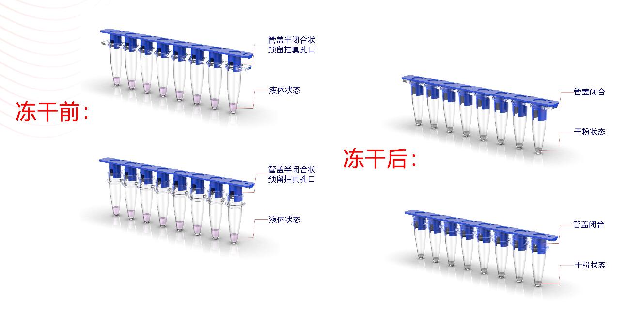 新品：冻干试剂2ml八联管透明含双侧夹扣盖