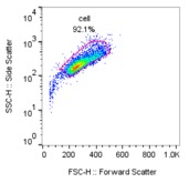 Flowjo之周期数据知多少