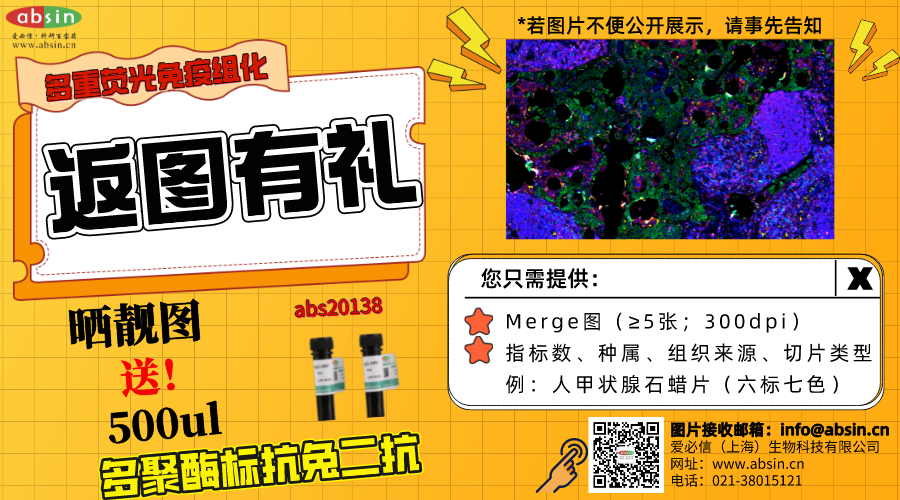 Absin 返图有礼--多重荧光免疫组化
