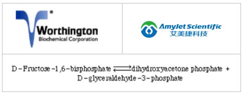 Worthington公司醛缩酶的分子特征和应用方案 Worthington公司醛缩酶的分子特征和应用方案