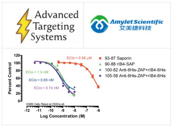 艾美捷Advanced Targeting Systems丨抗-6-His-SAP研究 艾美捷Advanced Targeting Systems丨抗-6-His-SAP研究