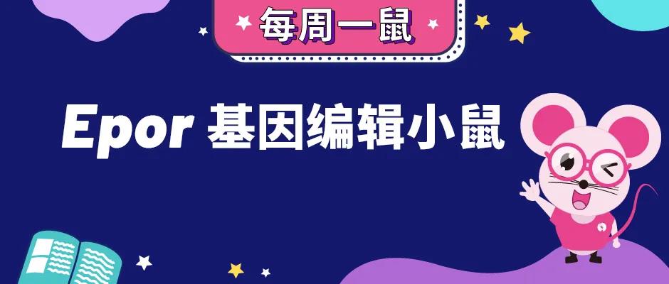 【每周一鼠】这个基因突变，让运动员自带“兴奋剂”