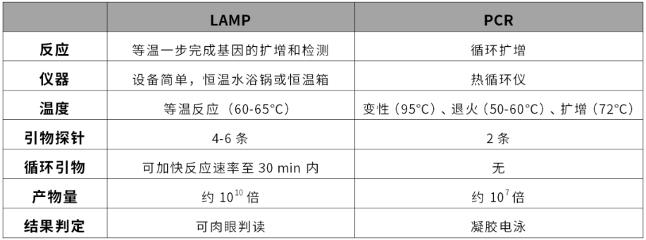 分子POCT的理想选择——等温扩增LAMP