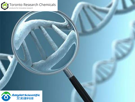 TRC肿瘤学丨艾美捷TRC表观遗传学研究领域 TRC肿瘤学丨艾美捷TRC表观遗传学研究领域