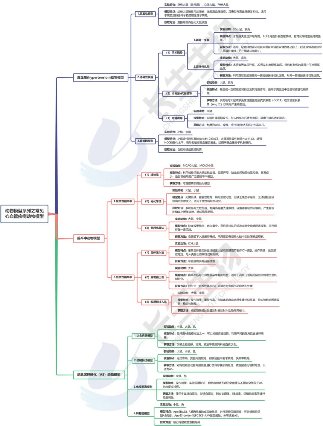 动物模型系列之常见心血管疾病动物模型