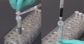 Cytoskeleton丨艾美捷BlastR快速过滤试剂盒 