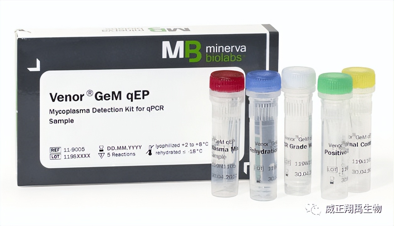 支原体检测中『方法验证』的必要性