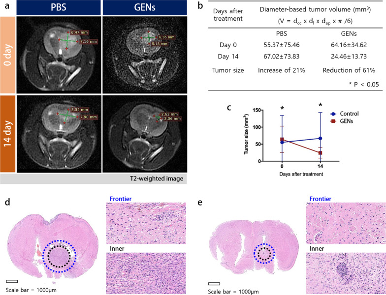 植物外泌体提取鉴定