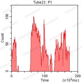 管道堵塞时的Time图