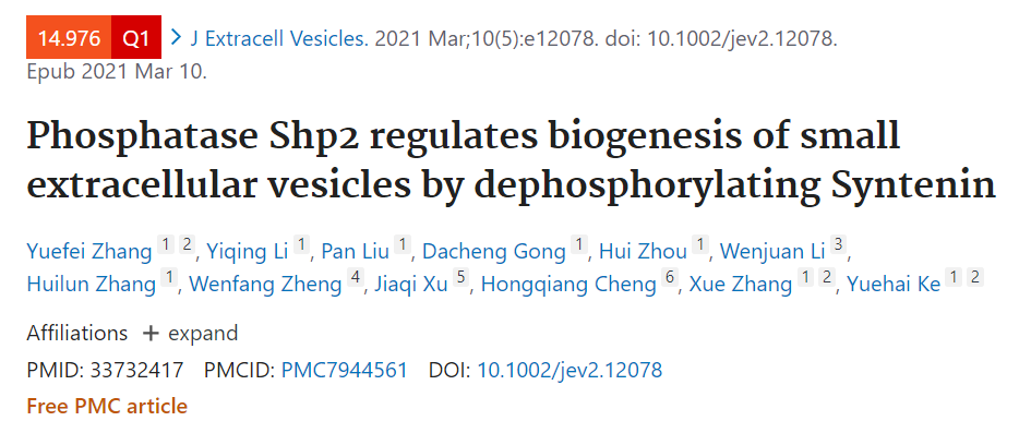 磷酸酶Shp2通过Syntenin磷酸化来调节sEVs的生物发生
