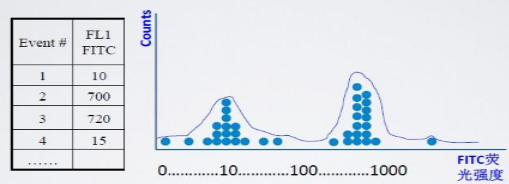 FlowJo 流式数据分析基础——常见术语