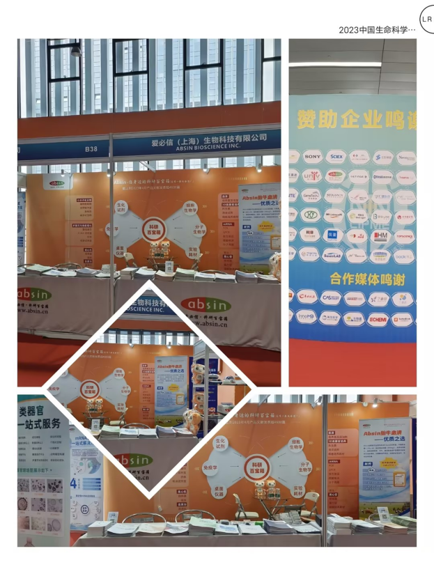 会议邀请 | 5月28日与您相约南昌CACLP