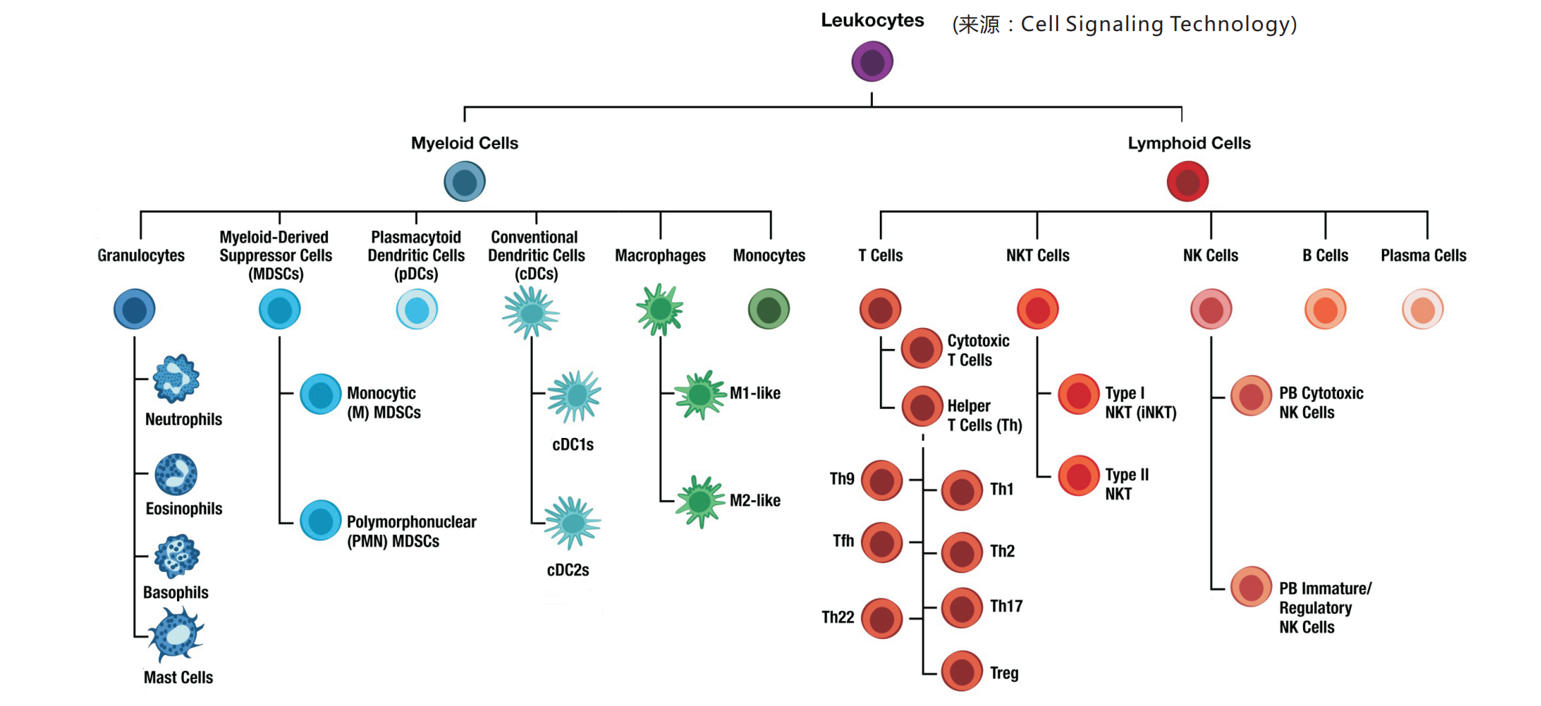 多色流式发展趋势