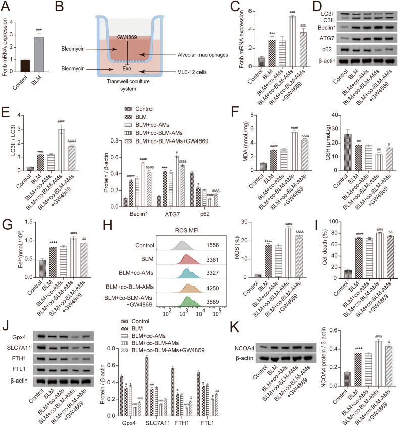外泌体技术服务