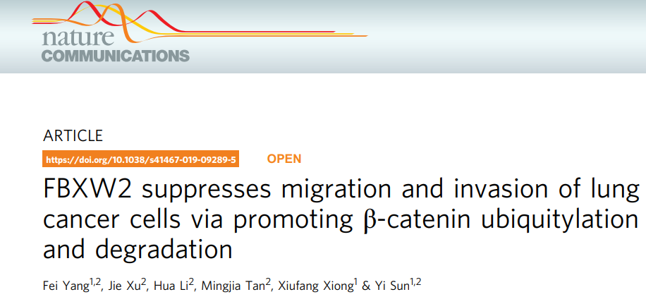 泛素化在癌症研究中的研究思路