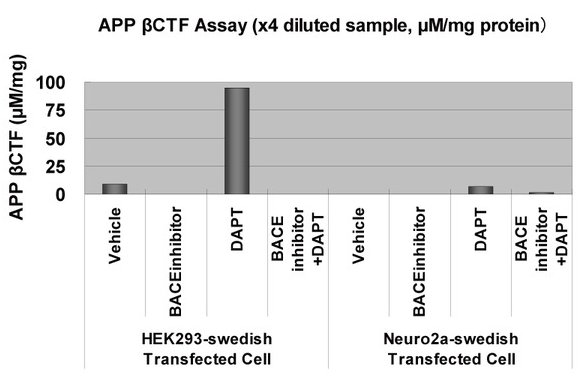 IBL-人APP βCTF检测试剂盒--限时抢购！