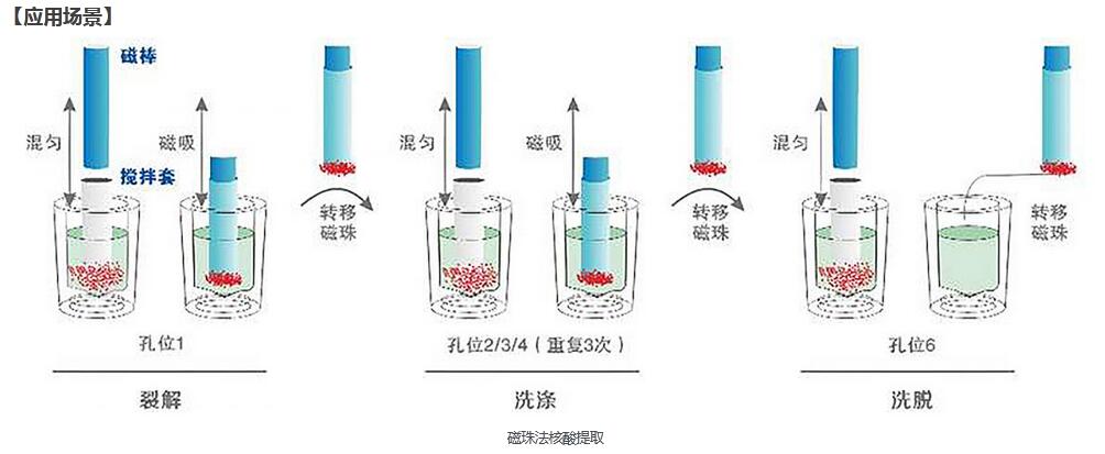 核酸提取耗材孔深孔板，磁套的组成及特点?